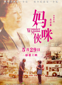 久久久久久精品国产三级