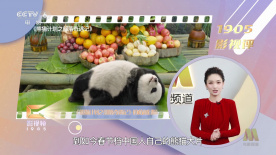 99草在线观看